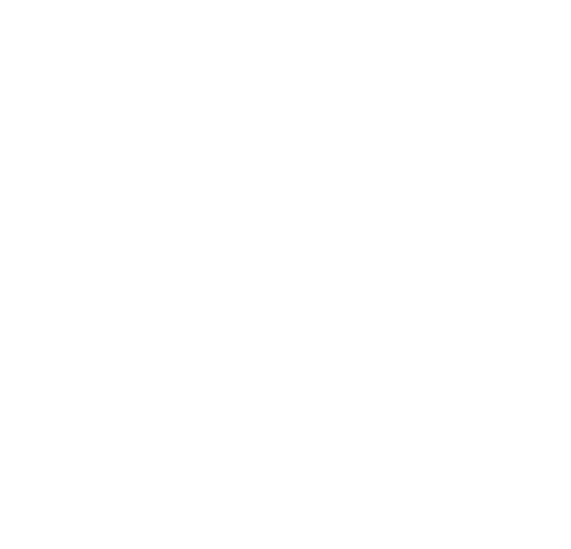 dm-logo